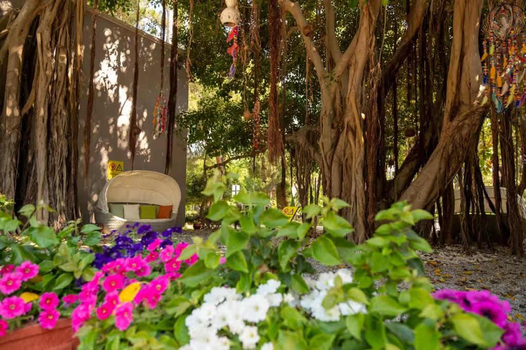 TUI MAGIC LIFE Belek