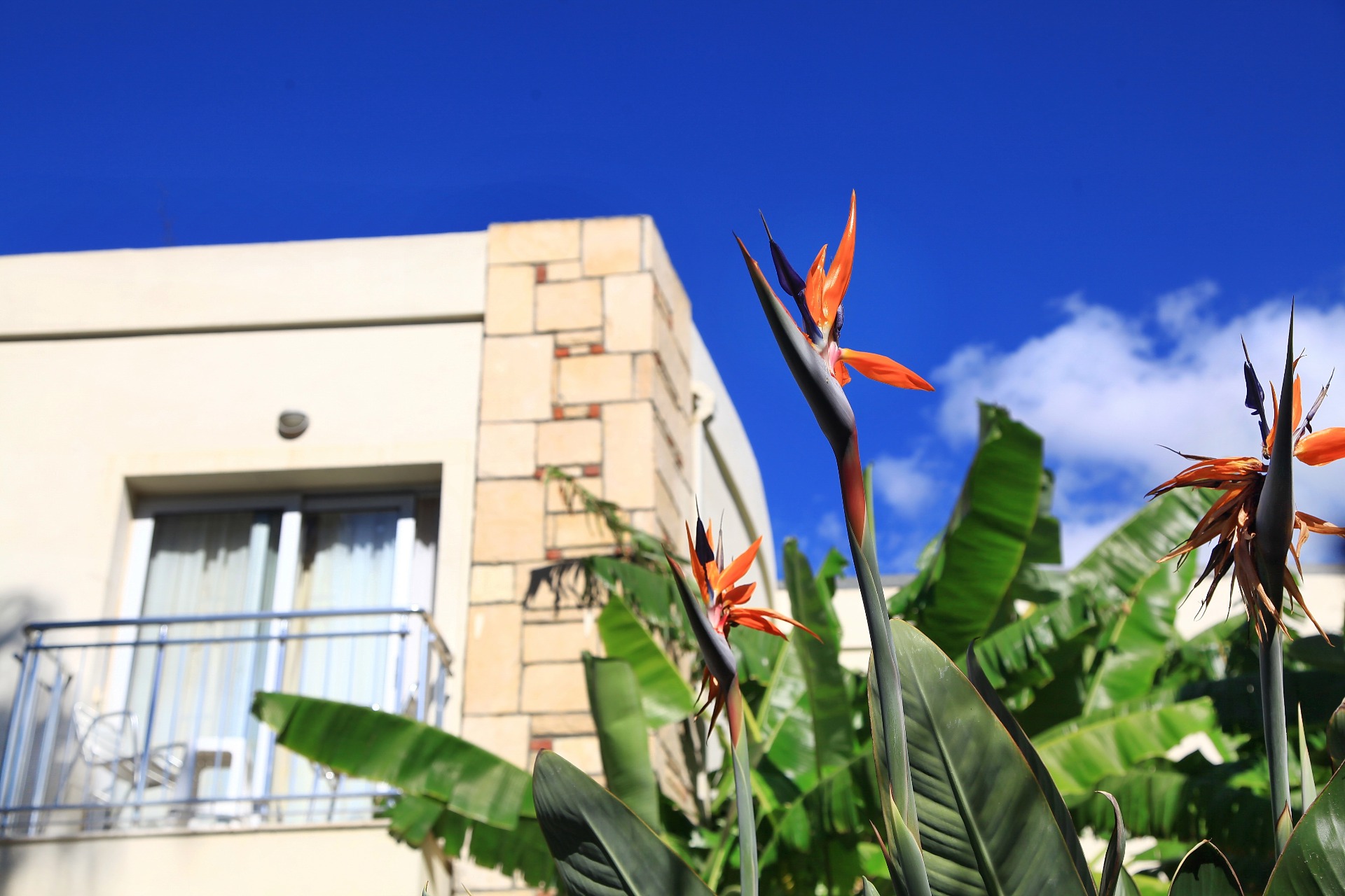 MANDARİN RESORT