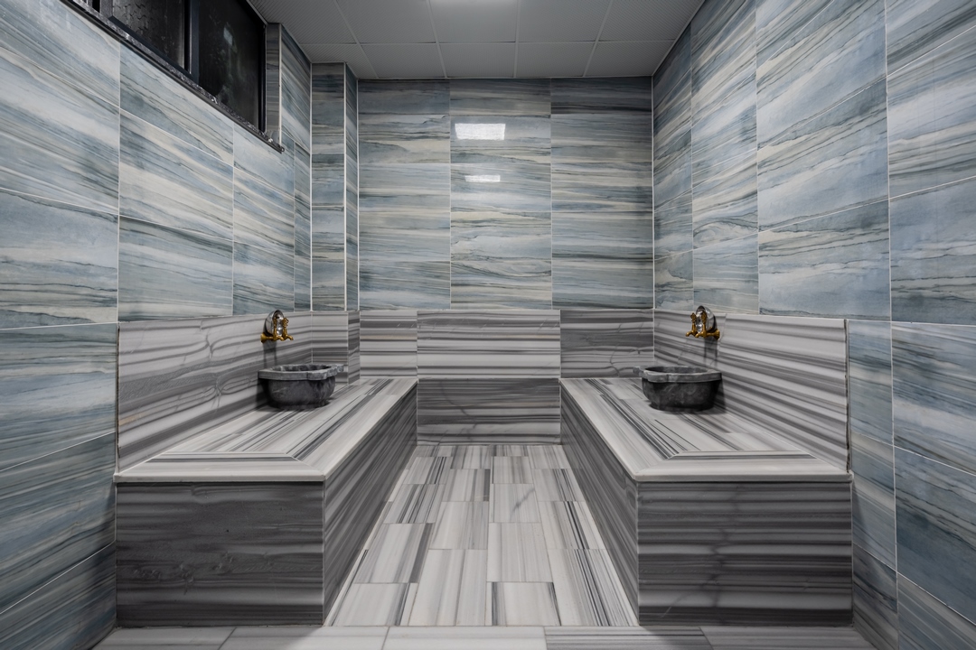 REGULUS THERMAL