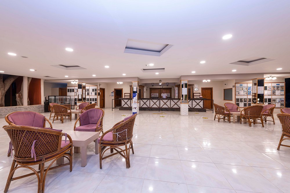 ARMAS GREEN FUĞLA