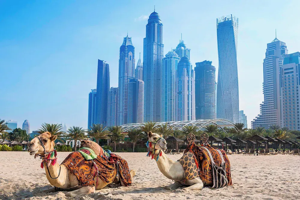 Al Habtoor Grand Resort, Autograph Collection