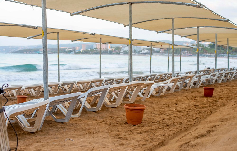 ARMAS GREEN FUĞLA